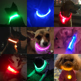 Colar De Led Para Pets