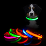 Colar De Led Para Pets