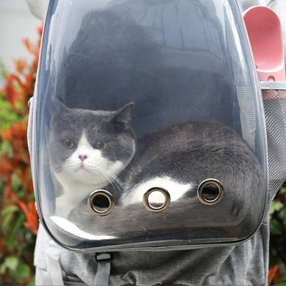 Mochila Para Transporte de Pets (Bolha Panorâmica)